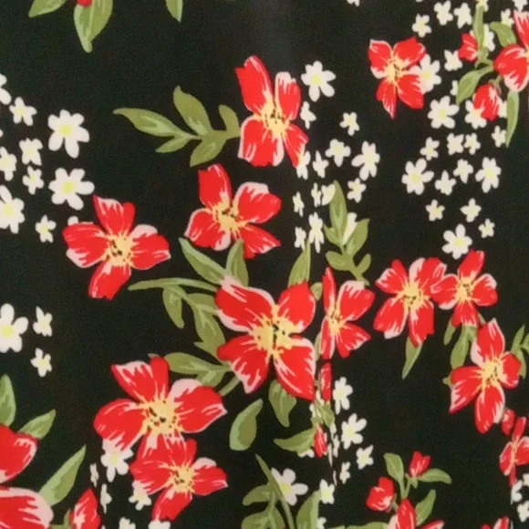 Allegra K [NWOT] Black and Red Floral Dress - Picture 4 of 10